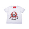 T-shirt MC